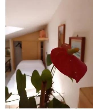 La Casa Del Pescatore Patio 몬테로소 알 마레